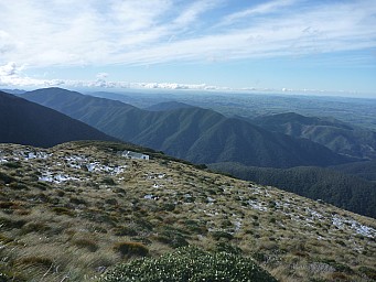 Jumbo Hut  