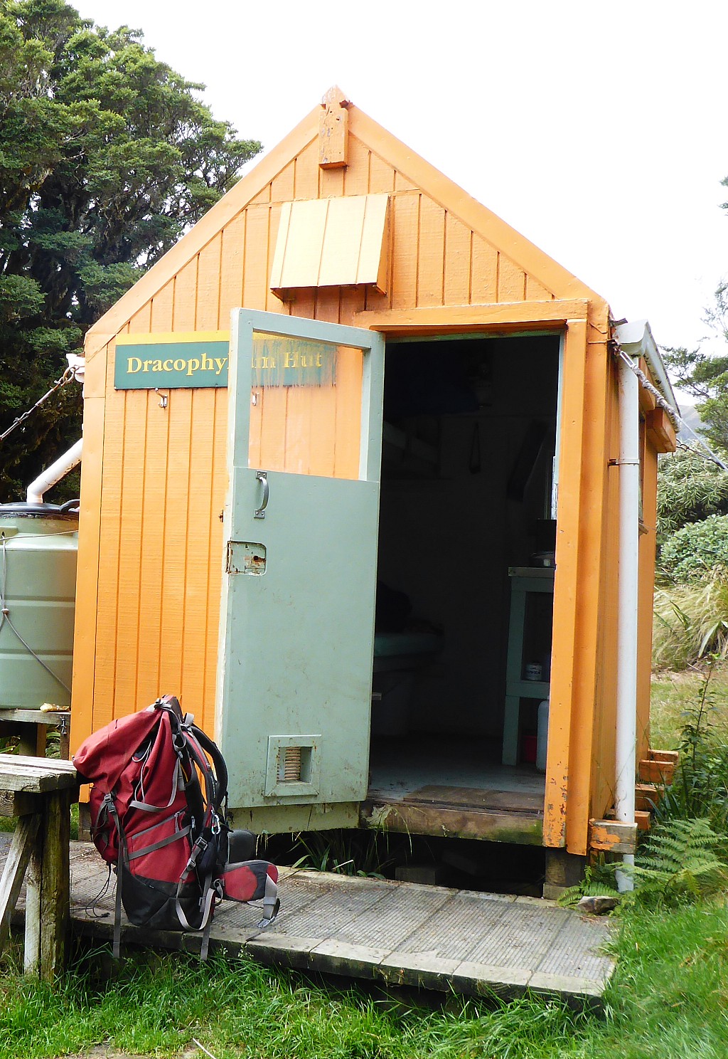 click on the photo to download the original image

Dracophyllum Hut