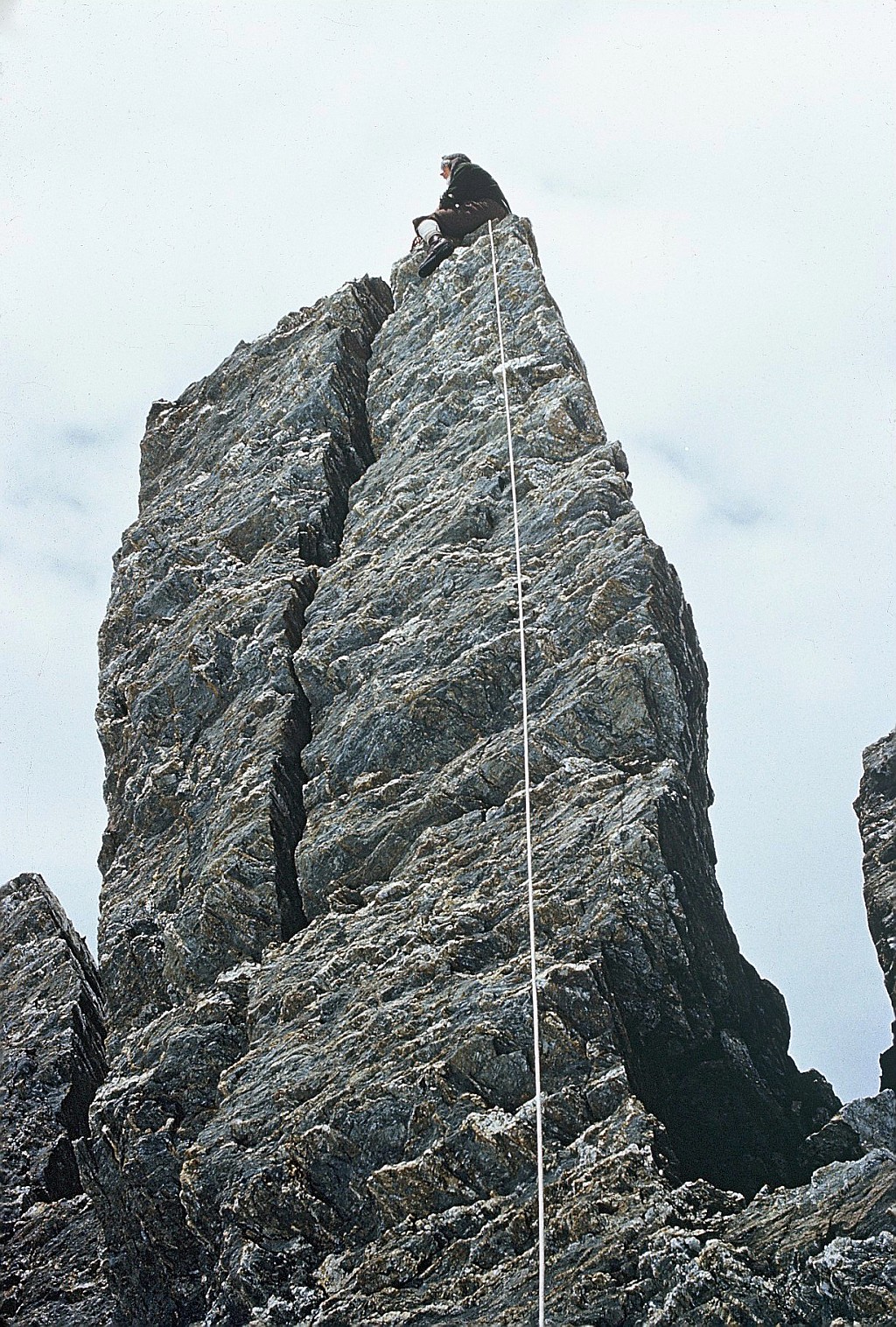 click on the photo to download the original image

000020