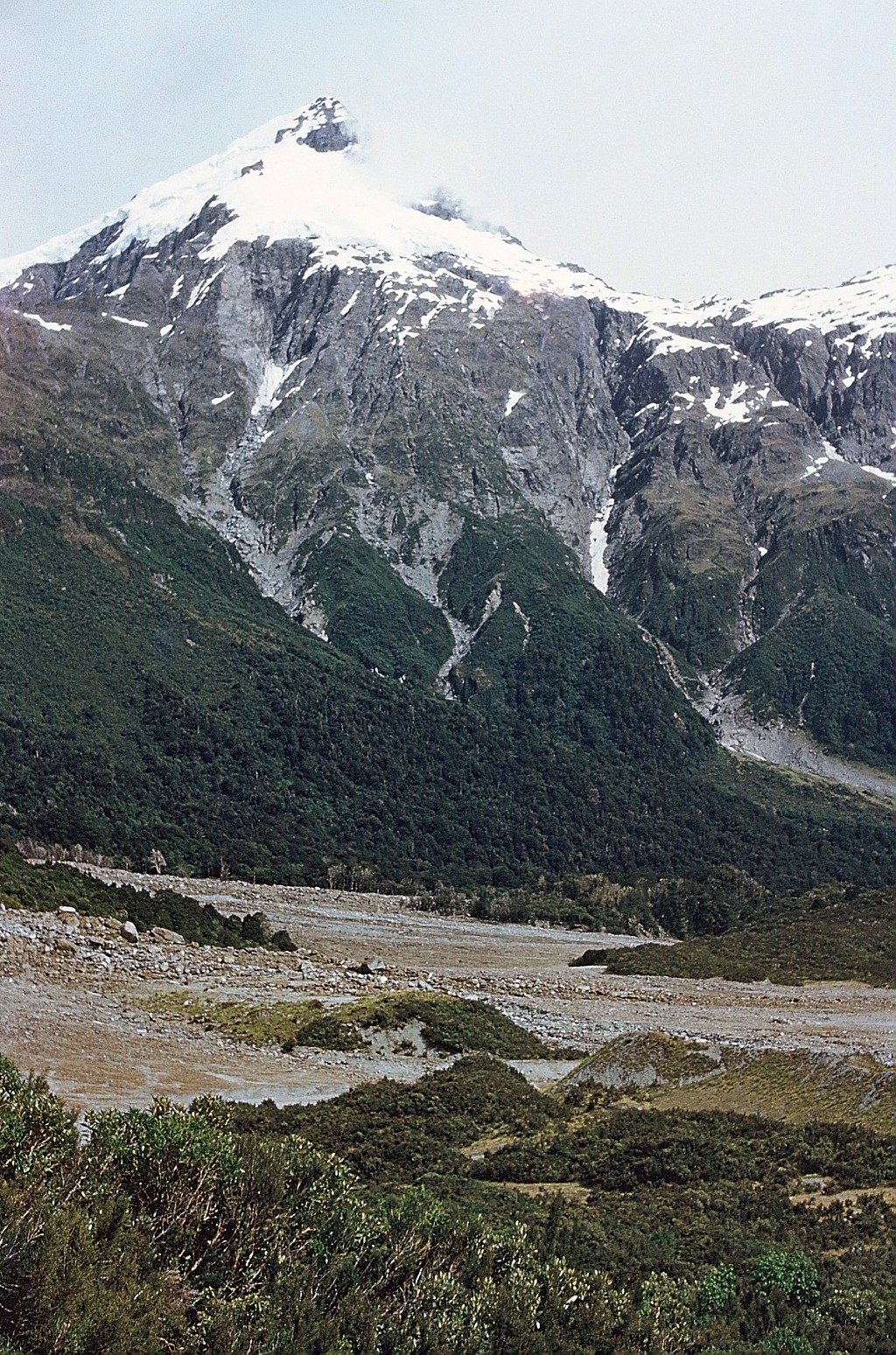 click on the photo to download the original image

000029