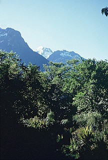 000003
<000003>&nbsp;Photo:&nbsp;'2026 Apr 18 15:20'
Original size:&nbsp;1,228 x 1,818; 1,887 kB
Filename:&nbsp;'000003'