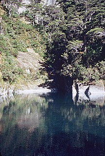 000007
<000007>&nbsp;Photo:&nbsp;'2026 Apr 18 15:20'
Original size:&nbsp;1,228 x 1,818; 2,234 kB
Filename:&nbsp;'000007'