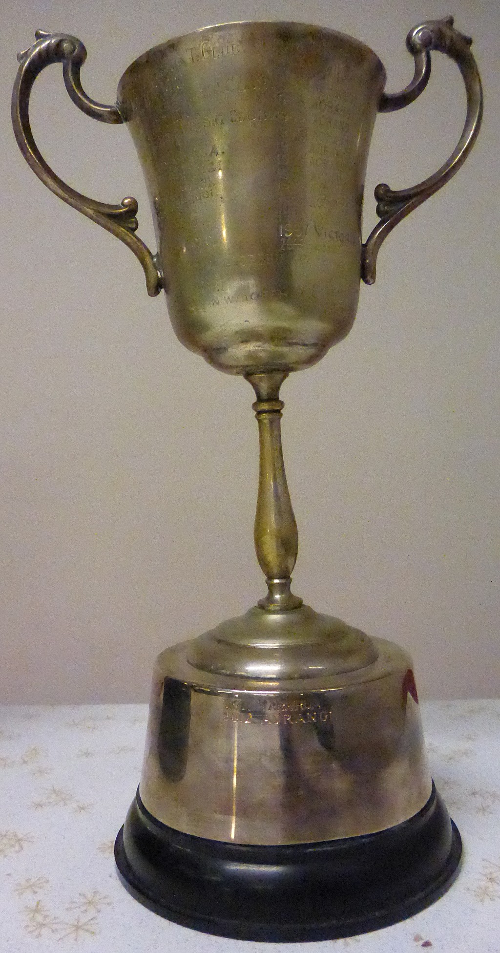 click on the photo to download the original image

TararuaCupRear