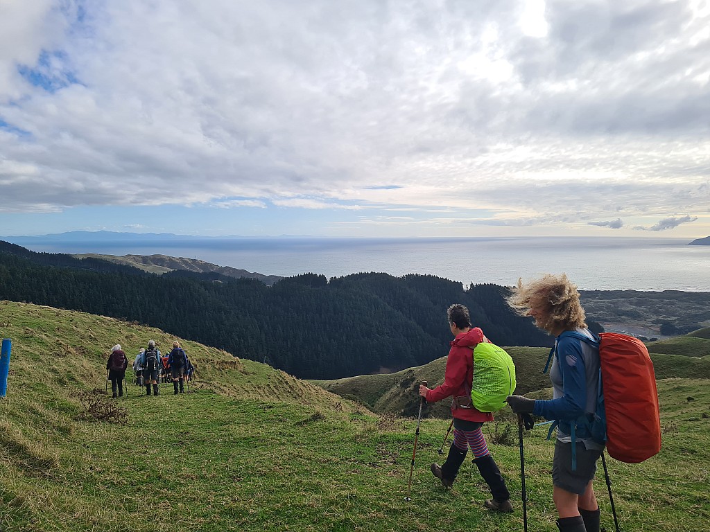 click on the photo to download the original image

Ant Hill - Karen Bakers hair indicating a 15 to 18 knot northerly