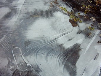 ssl10.jpg: 512x384, 170k (2014 Jul 21 07:42)