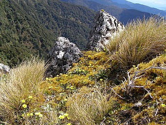 2007-10-17 14.34.54 022.jpeg: 1024x768, 308k (2014 Jul 21 07:42)