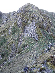 2007-10-18 06.37.29 056.jpeg: 768x1024, 255k (2014 Jul 21 07:42)