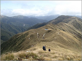 Dorset_1.jpg: 1185x893, 160k (2014 Jul 21 07:43)