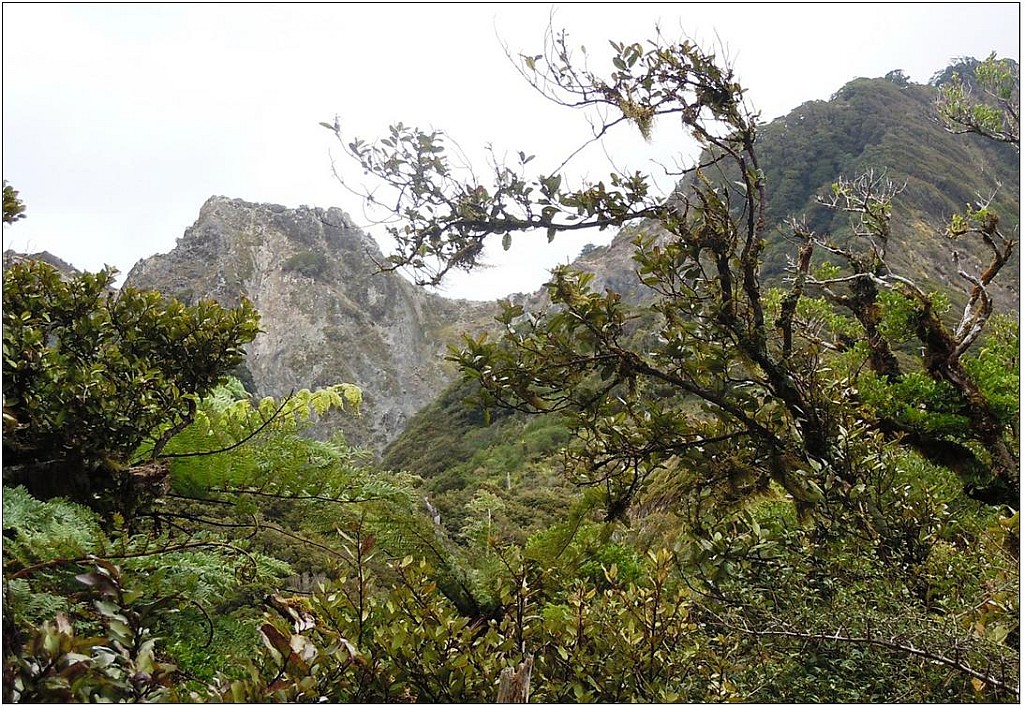 click on the photo to download the original image

Tak2