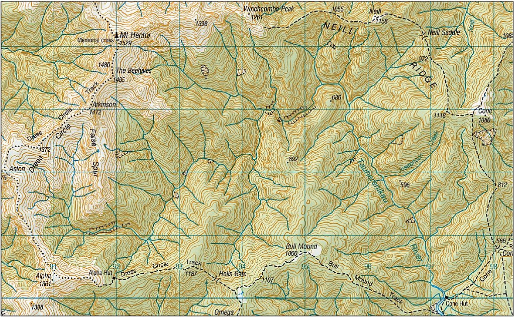 click on the photo to download the original image

cone1