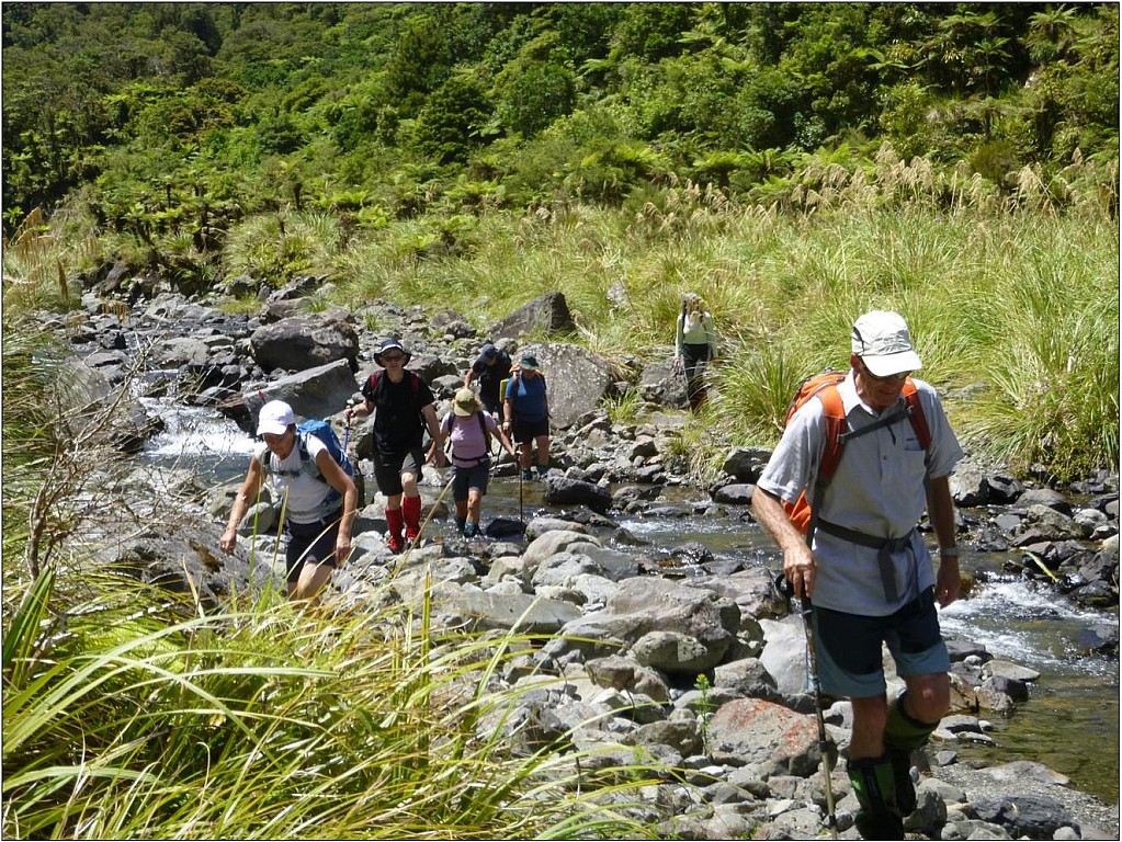 click on the photo to download the original image

N Ohau