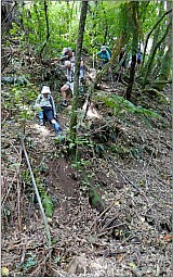 TownBelt1.jpg: 446x712, 105k (2015 May 18 00:03)