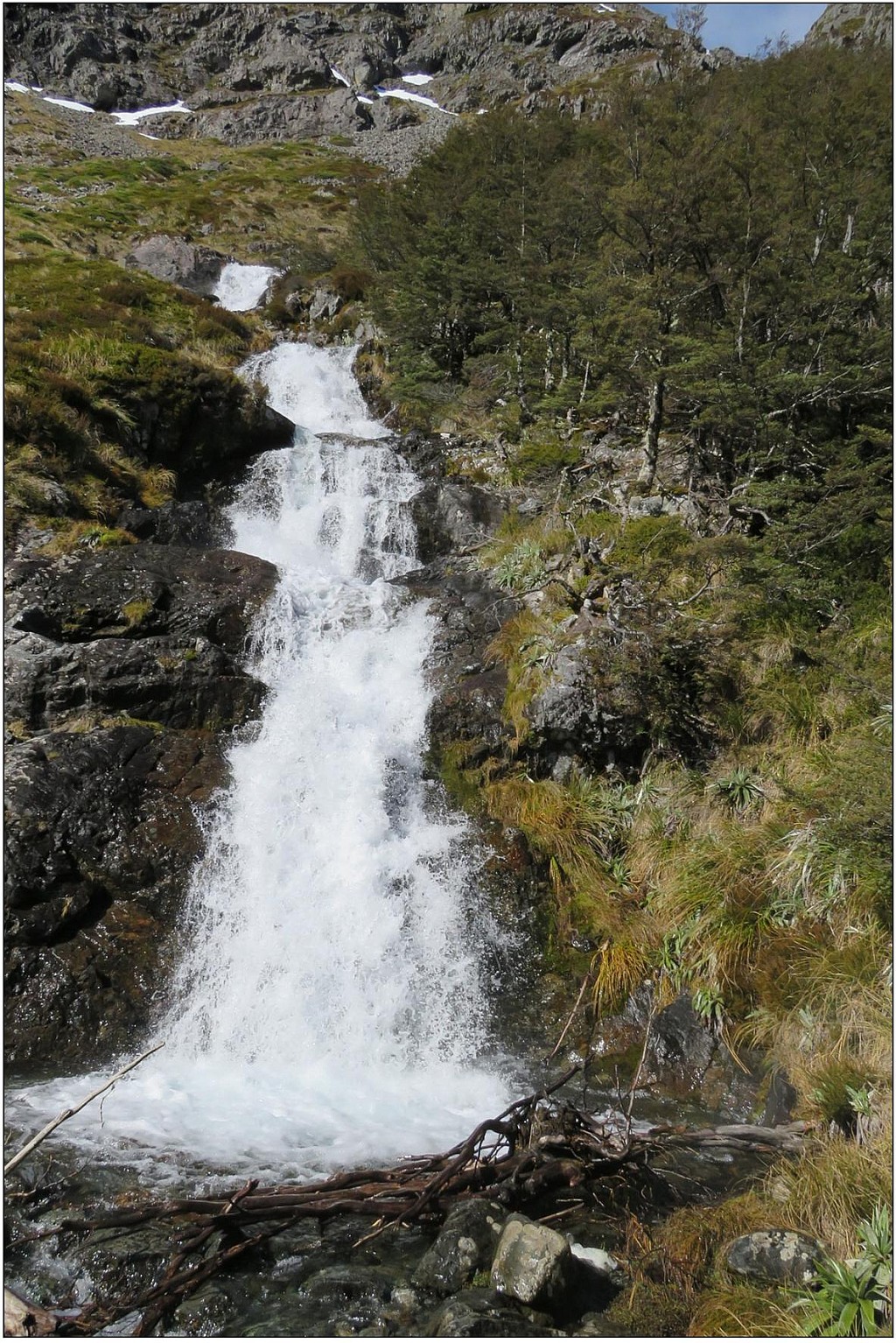 click on the photo to download the original image

Angelus3