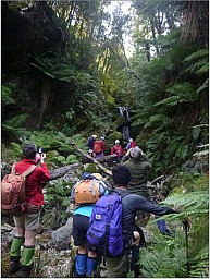 WhakanuiW2.jpg: 899x1194, 185k (2016 Aug 24 01:52)