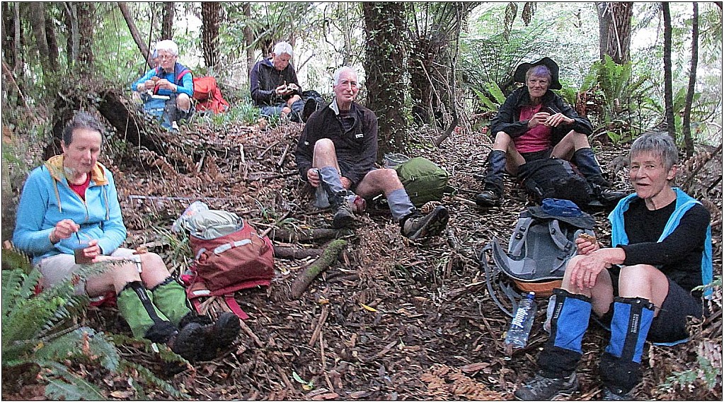 click on the photo to download the original image

kotumu2