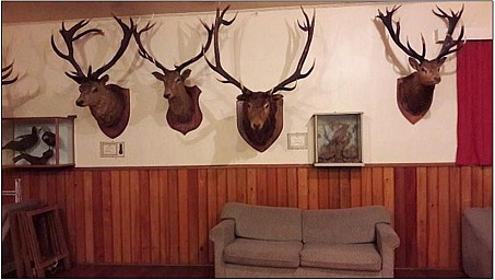 StArnard1.jpg: 826x467, 49k (2017 Aug 10 00:00)