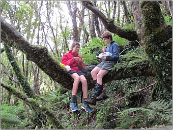 waterfall2.jpg: 772x581, 106k (2017 Sep 06 00:23)