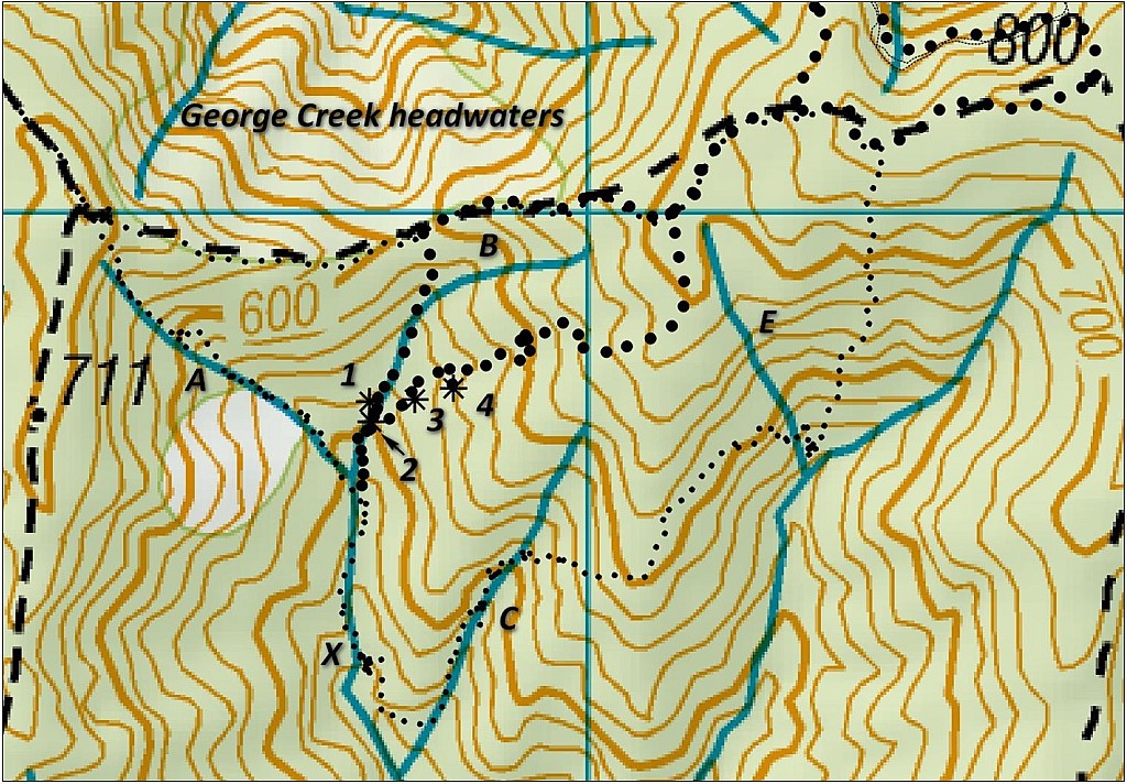 click on the photo to download the original image

waterfall1