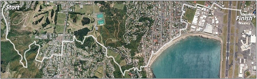 click on the photo to download the original image

Tawatawa