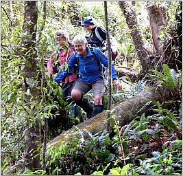 Mangaone2.jpg: 1205x1157, 359k (2017 Nov 08 00:00)