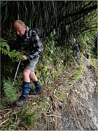 Waiotaura3.jpg: 773x1032, 217k (2017 Nov 08 00:00)