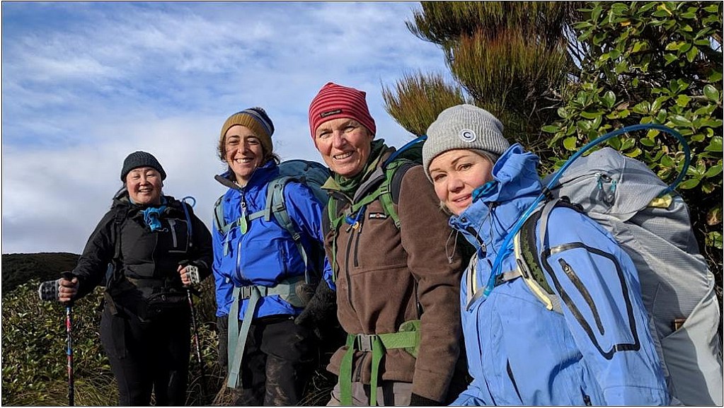 click on the photo to download the original image

Waiopehu2