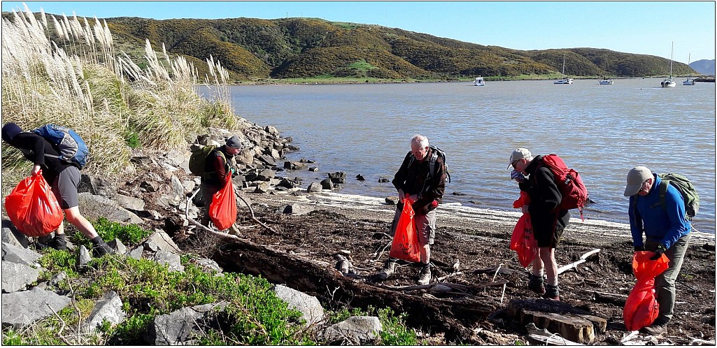 click on the photo to download the original image

Clean_2