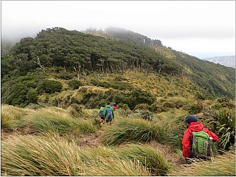 Tapokopoko_2.jpg: 1656x1244, 391k (2018 Nov 06 00:00)