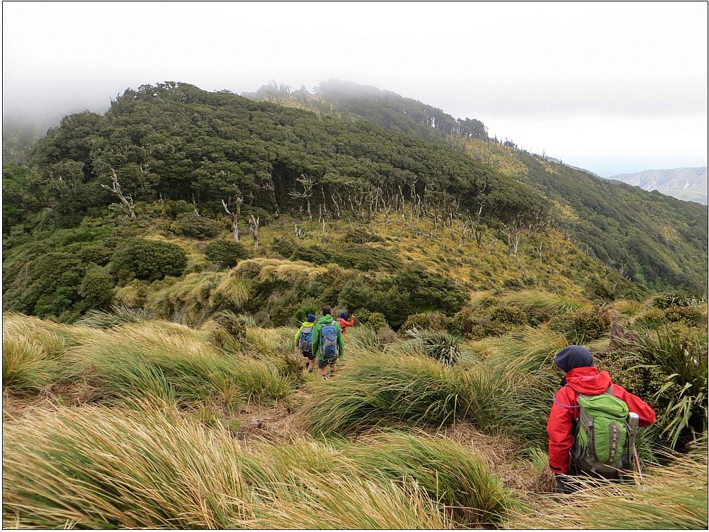 click on the photo to download the original image

Tapokopoko_2