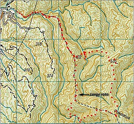 Pukeatua_1.jpg: 737x680, 170k (2018 Nov 06 00:00)