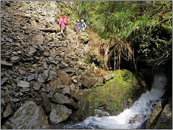 Pukeatua_2.jpg: 399x300, 35k (2018 Nov 06 00:00)