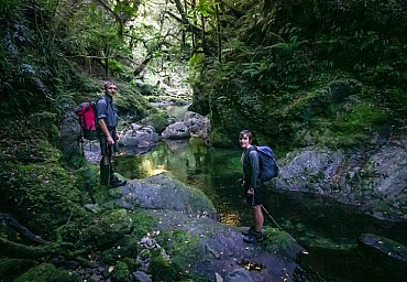 Prout Stream.jpg: 761x527, 196k (2019 Apr 22 00:00)