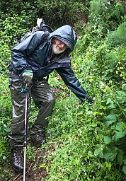 Odell2.jpg: 722x1041, 403k (2019 Dec 08 02:37)