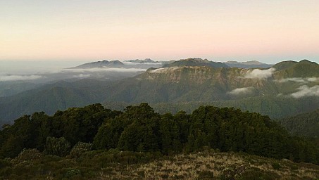 Paparoas.jpg: 1280x724, 167k (2020 Apr 12 00:00)