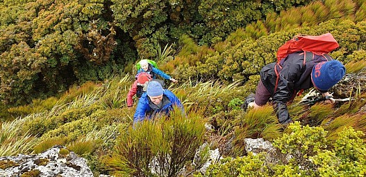 Bawbaw1.jpg: 1280x622, 561k (2020 Apr 12 00:00)