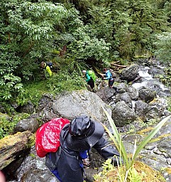 HoldsworthCreek1.jpg: 768x817, 397k (2020 Apr 12 00:00)