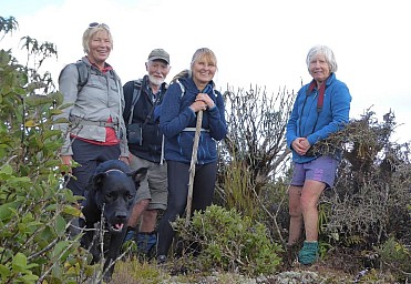Maunganui.jpg: 1082x747, 279k (2020 Jul 11 01:23)