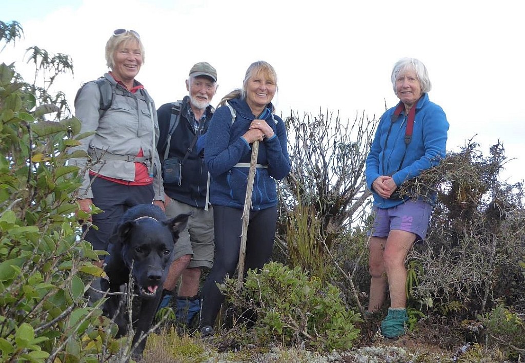 click on the photo to download the original image

Maunganui