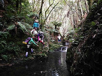 GollansStream.jpg: 1167x875, 502k (2020 Sep 28 00:00)
