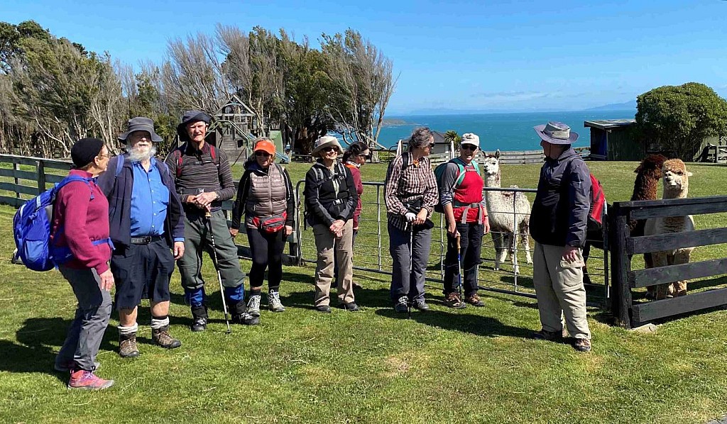 click on the photo to download the original image

Pukerua1