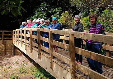 NewBridge.jpg: 1165x821, 359k (2020 Nov 08 01:32)