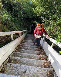 Southernwalkway2.jpg: 707x901, 341k (2021 Aug 27 04:31)