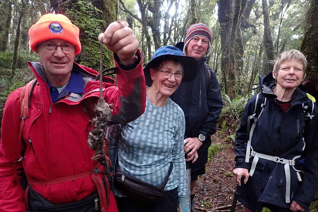 click on the photo to download the original image

Trapline