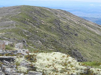 HoldsworthBN2.jpg: 841x630, 196k (2022 Apr 13 22:28)