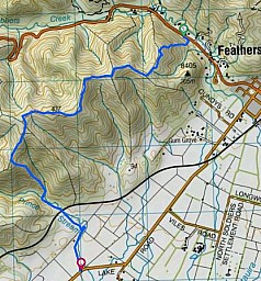 Pigeon1.jpg: 416x447, 98k (2022 Apr 06 03:31)