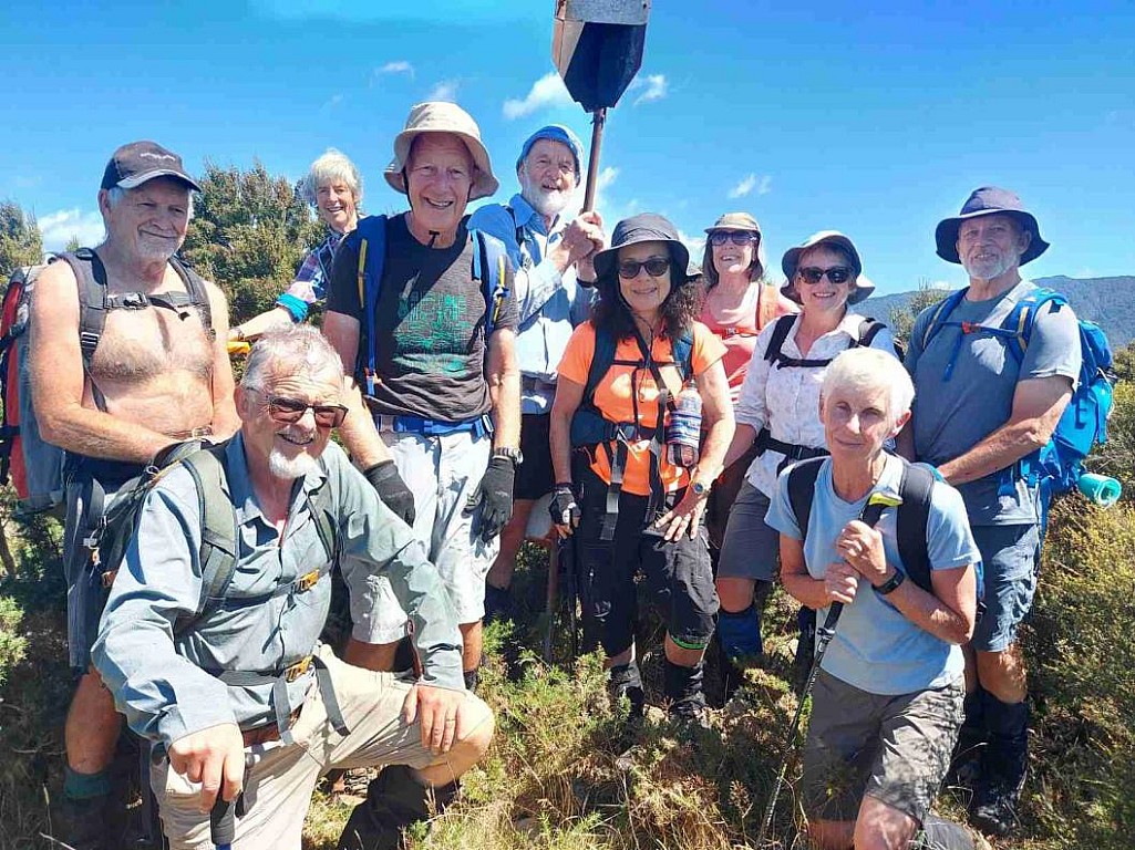 click on the photo to download the original image

Pigeon2