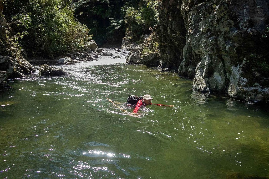 click on the photo to download the original image

Whakatikei2