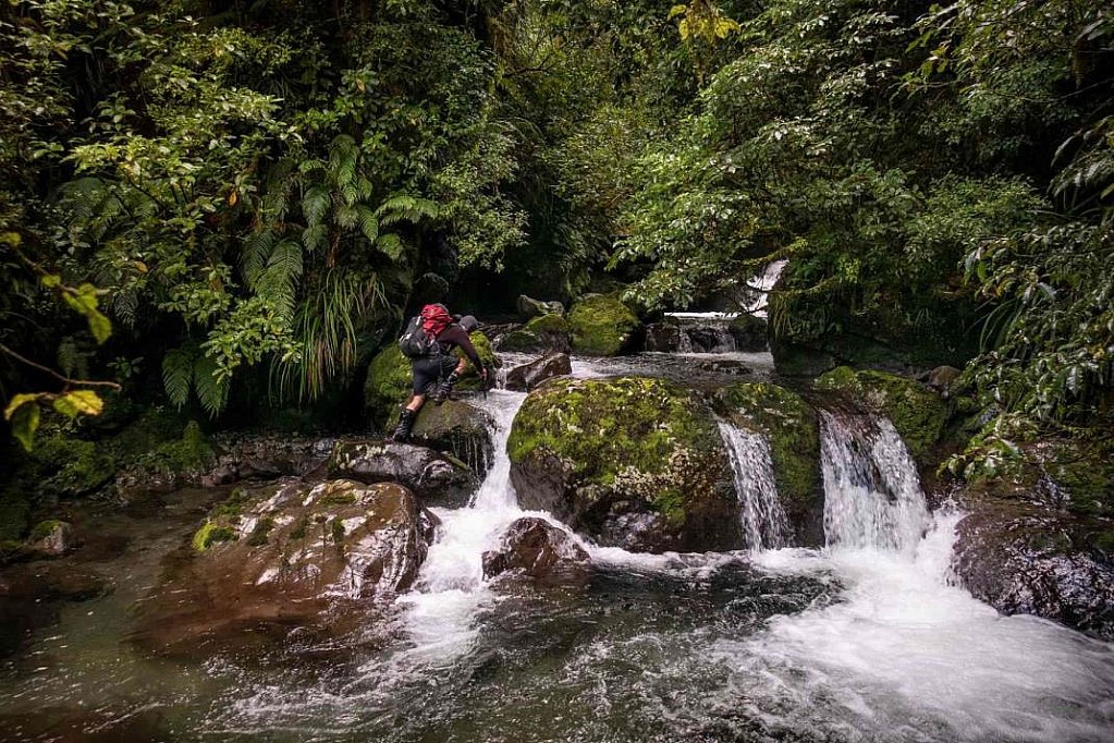 click on the photo to download the original image

Maungahuka3