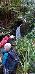 Kaitawa1.jpg: 643x1324, 406k (2022 Jul 30 23:07)