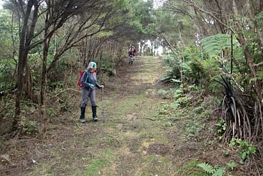 RataRidge2.jpg: 531x355, 83k (2022 Oct 13 00:29)